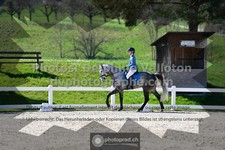 ref. photo 3554925