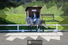 ref. photo 3554926