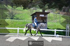 ref. photo 3554936