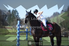 ref. photo 3554951