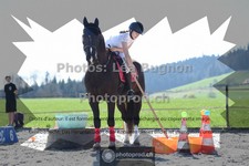 ref. photo 3554959