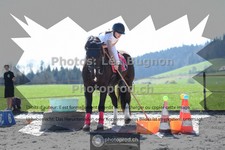 ref. photo 3554960