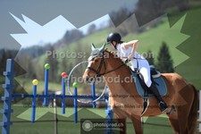 ref. photo 3554971