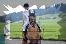 ref. photo 3554975