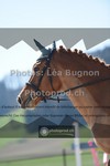ref. photo 3554978