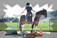 ref. photo 3555001
