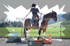 ref. photo 3555002