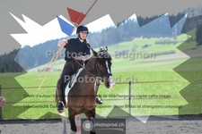 ref. photo 3555004