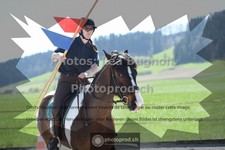 ref. photo 3555005