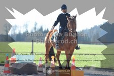 ref. photo 3555047
