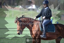ref. photo 3555050
