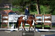 ref. photo 3555051
