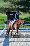 ref. photo 3555053