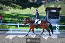 ref. photo 3555054