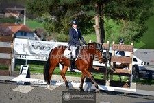 ref. photo 3555062