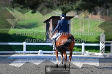 ref. photo 3555064