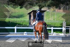 ref. photo 3555065