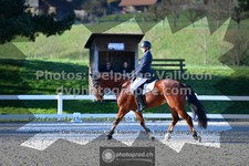 ref. photo 3555069