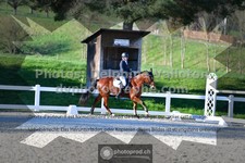 ref. photo 3555075