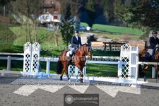 ref. photo 3555076