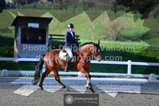 ref. photo 3555079