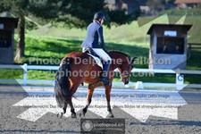 ref. photo 3555089