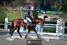 ref. photo 3555090