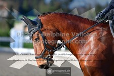 ref. photo 3555092
