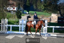 ref. photo 3555093