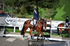 ref. photo 3555095