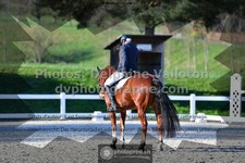ref. photo 3555098
