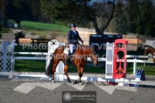 ref. photo 3555100