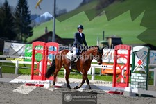 ref. photo 3555104