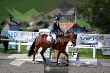 ref. photo 3555105