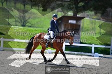 ref. photo 3555114