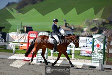 ref. photo 3555115
