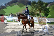 ref. photo 3555116