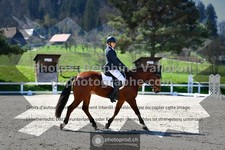 ref. photo 3555117