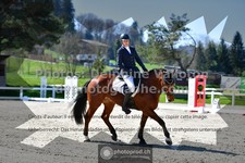 ref. photo 3555118