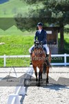 ref. photo 3555121
