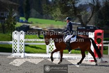 ref. photo 3555124