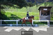 ref. photo 3555126