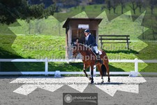 ref. photo 3555127