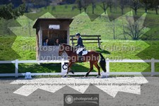 ref. photo 3555129