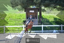 ref. photo 3555131