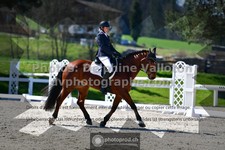 ref. photo 3555133