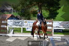 ref. photo 3555136