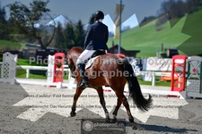 ref. photo 3555140