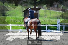 ref. photo 3555142