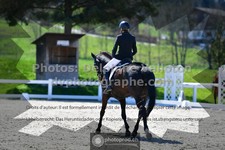 ref. photo 3555146